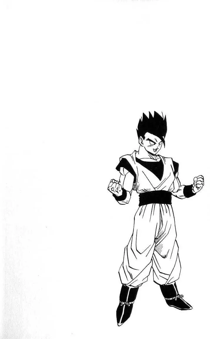 Chapitre 41 — Dragon Ball (Édition Japonaise) Vol. 41 — page 169