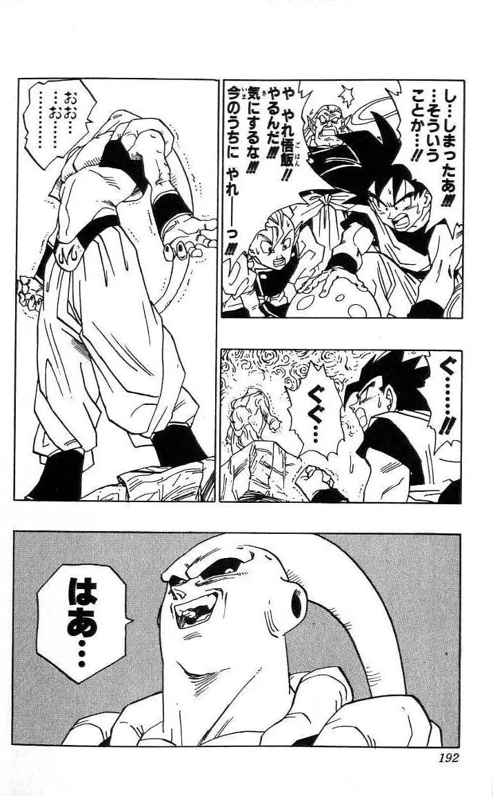 Chapitre 41 — Dragon Ball (Édition Japonaise) Vol. 41 — page 193