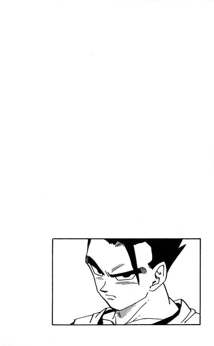 Chapitre 41 — Dragon Ball (Édition Japonaise) Vol. 41 — page 197