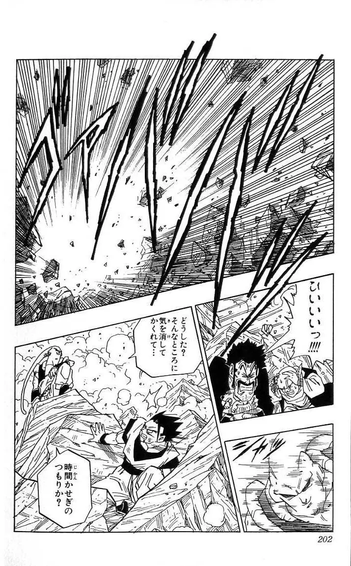 Chapitre 41 — Dragon Ball (Édition Japonaise) Vol. 41 — page 203