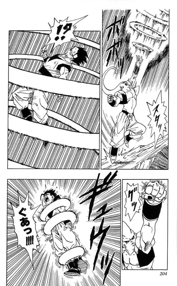Chapitre 41 — Dragon Ball (Édition Japonaise) Vol. 41 — page 205