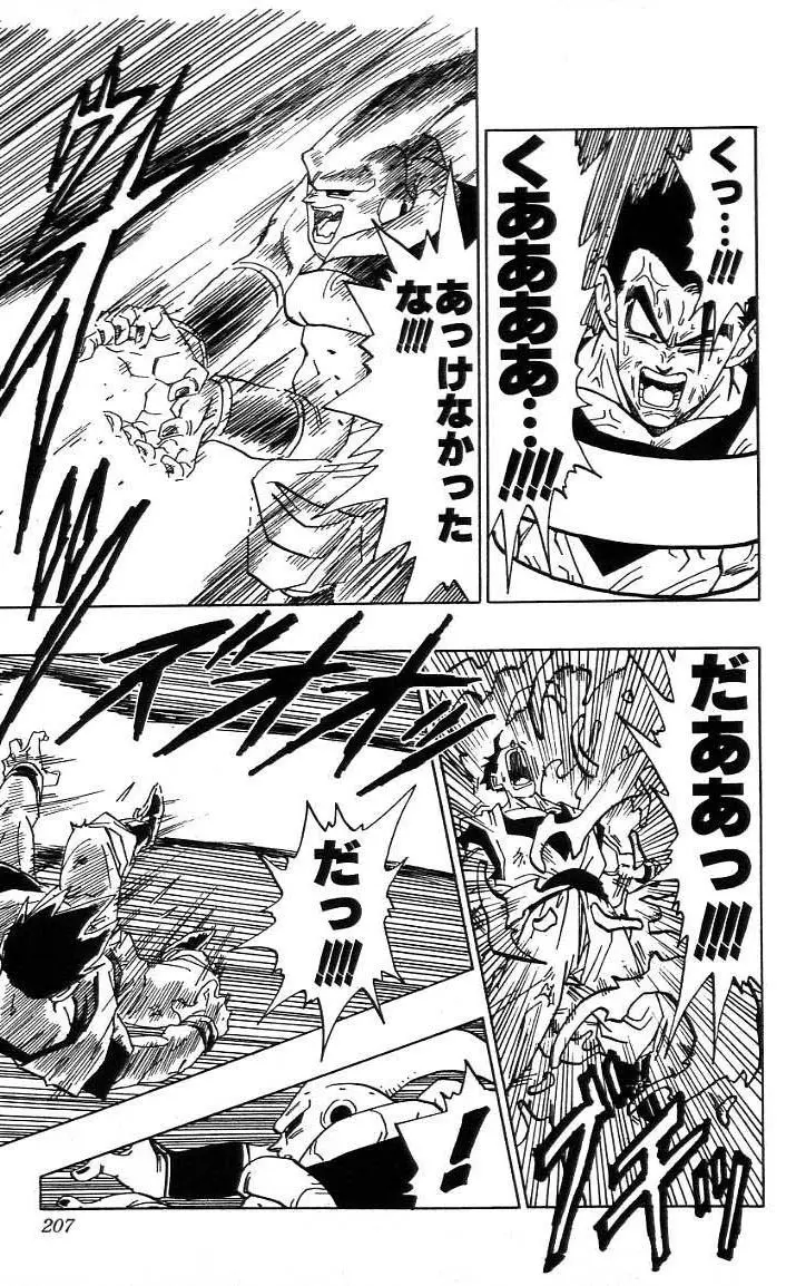 Chapitre 41 — Dragon Ball (Édition Japonaise) Vol. 41 — page 208