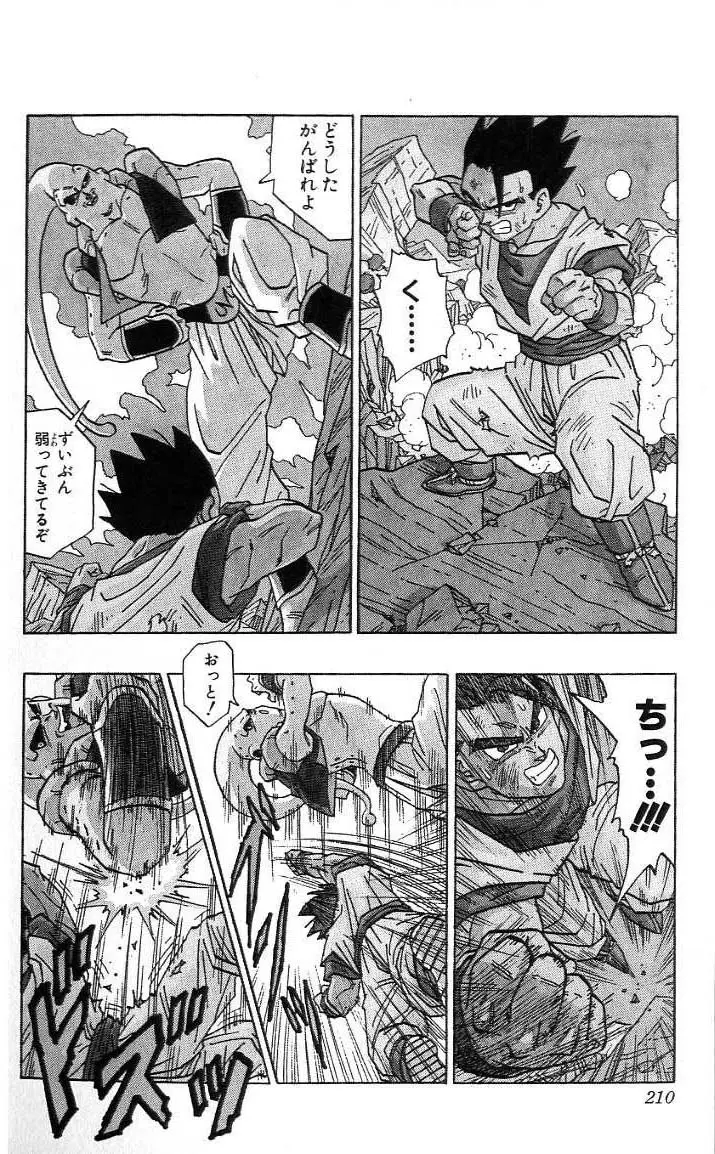 Chapitre 41 — Dragon Ball (Édition Japonaise) Vol. 41 — page 211