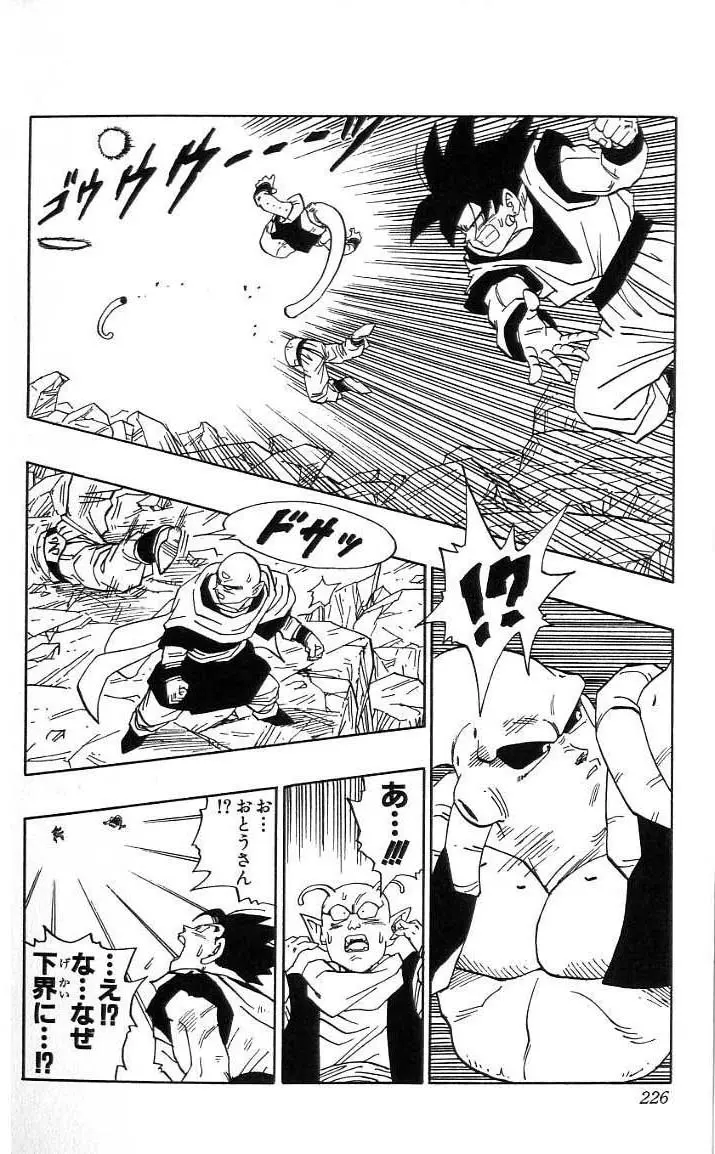 Chapitre 41 — Dragon Ball (Édition Japonaise) Vol. 41 — page 227