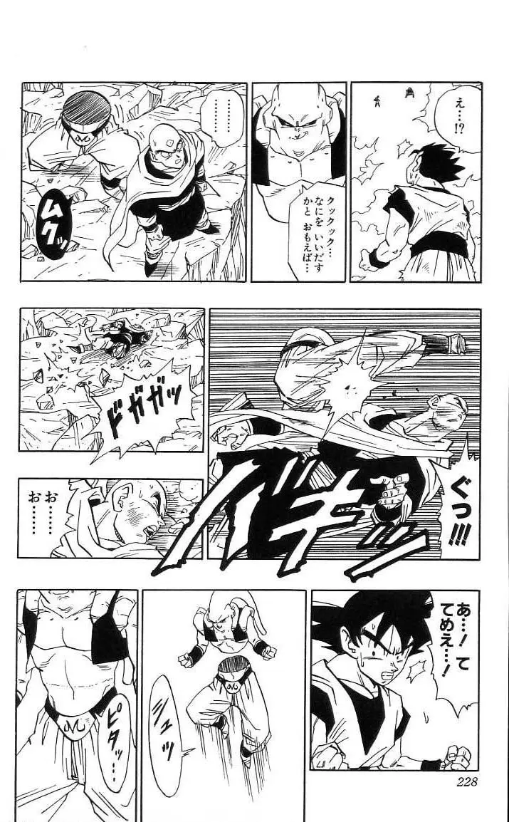 Chapitre 41 — Dragon Ball (Édition Japonaise) Vol. 41 — page 229