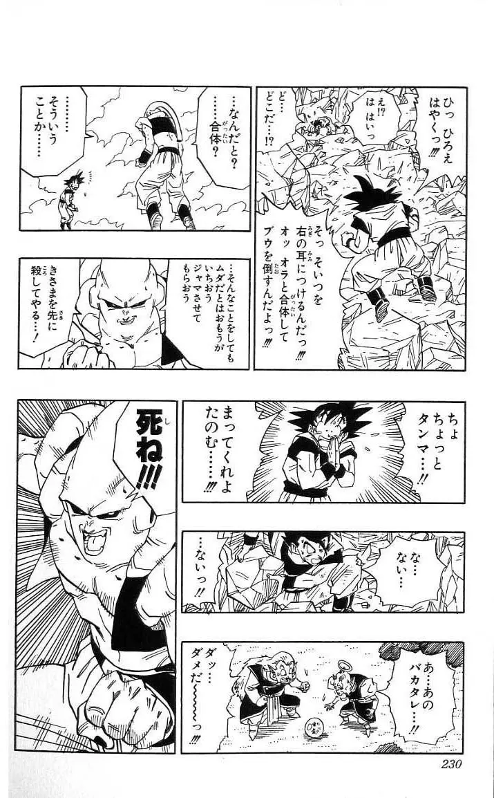 Chapitre 41 — Dragon Ball (Édition Japonaise) Vol. 41 — page 231