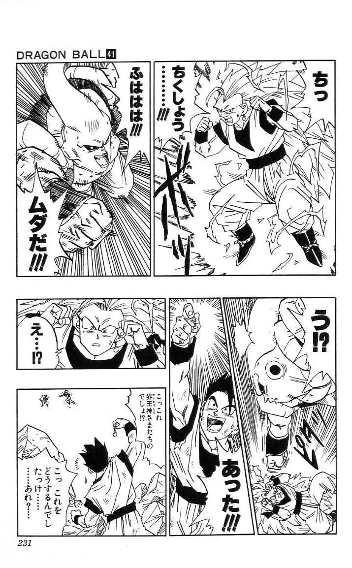 Chapitre 41 — Dragon Ball (Édition Japonaise) Vol. 41 — page 232