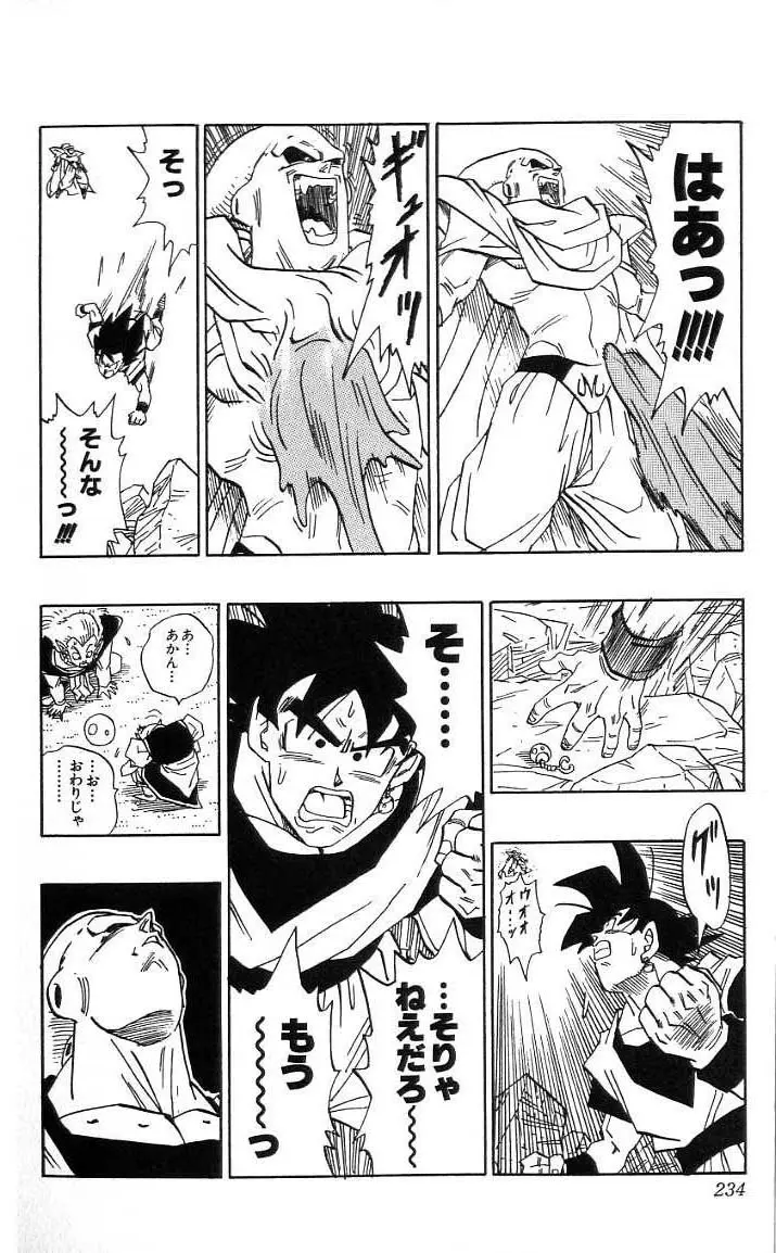 Chapitre 41 — Dragon Ball (Édition Japonaise) Vol. 41 — page 235