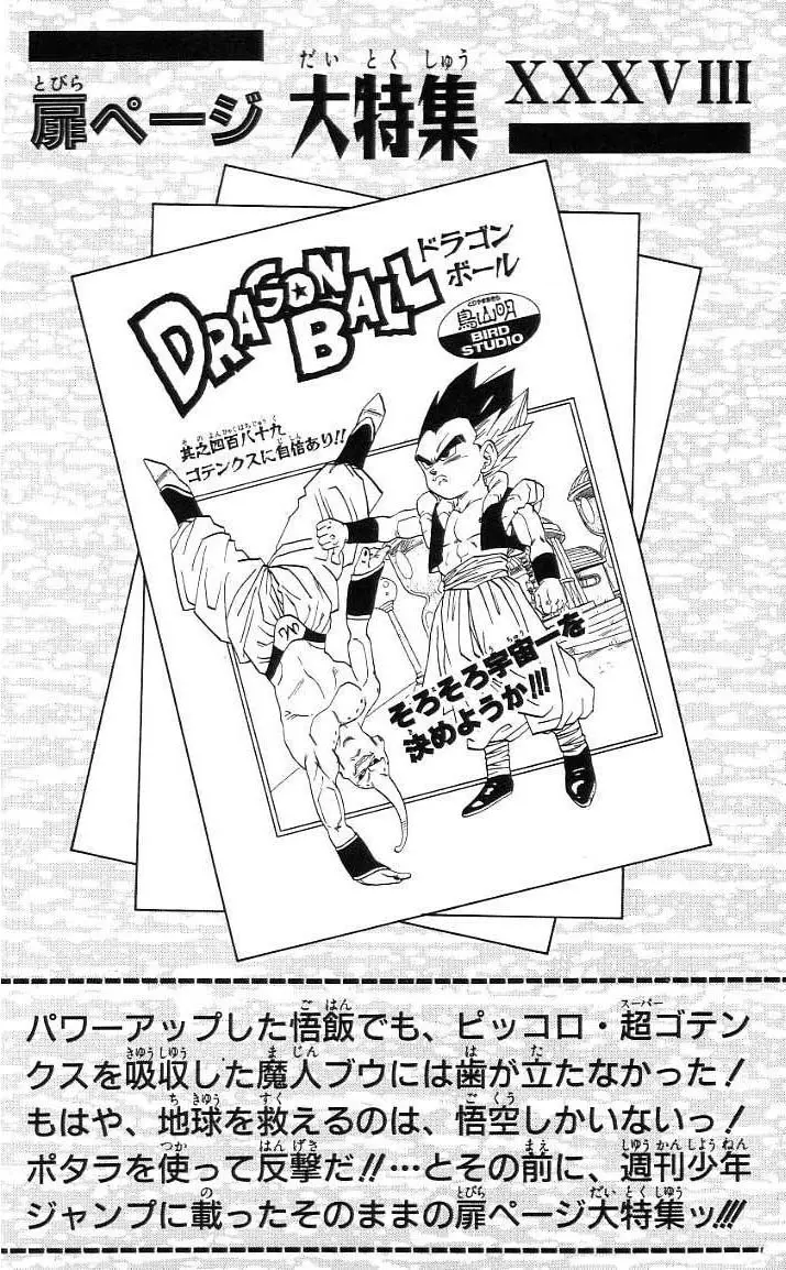 Chapitre 41 — Dragon Ball (Édition Japonaise) Vol. 41 — page 237