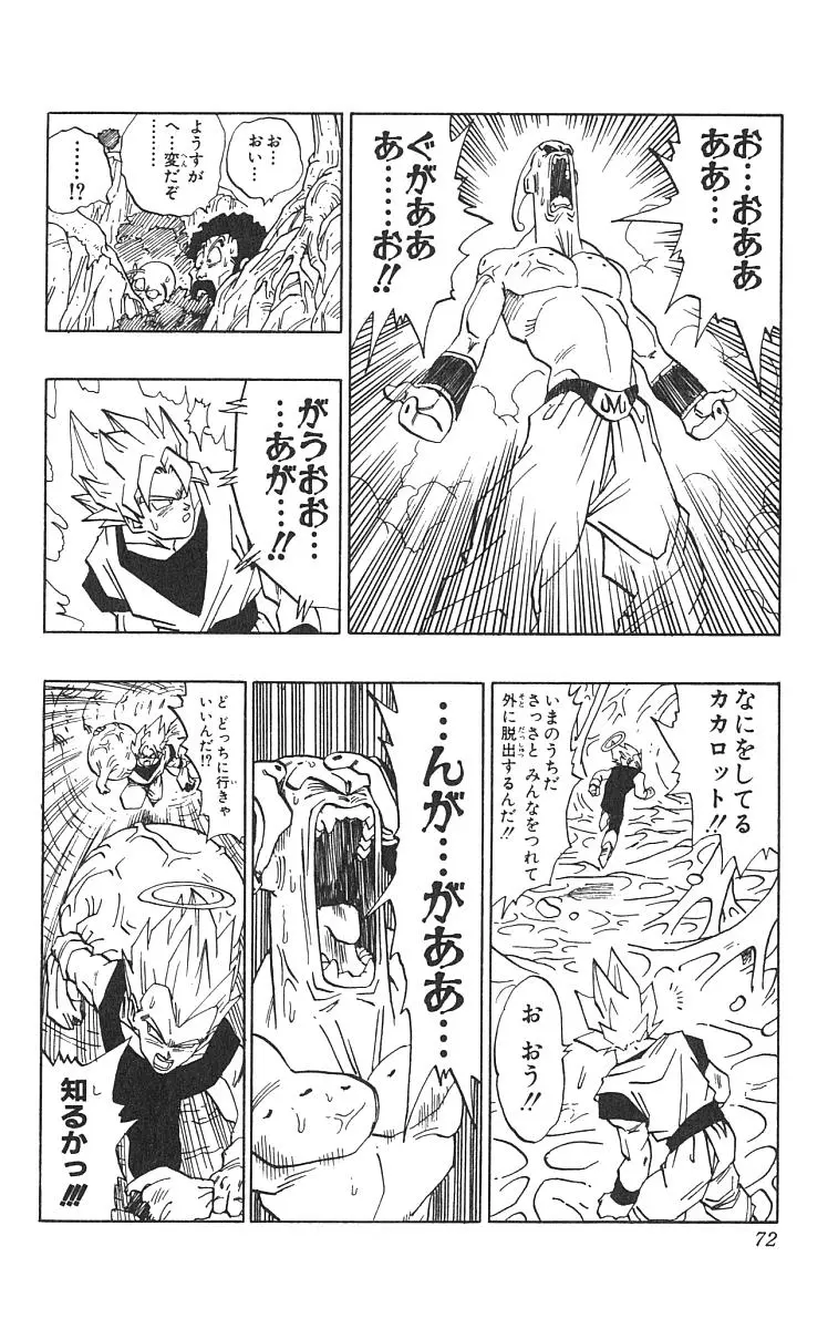 Chapitre 42 — Dragon Ball (Édition Japonaise) Vol. 42 — page 73