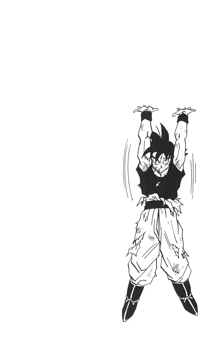 Chapitre 42 — Dragon Ball (Édition Japonaise) Vol. 42 — page 173