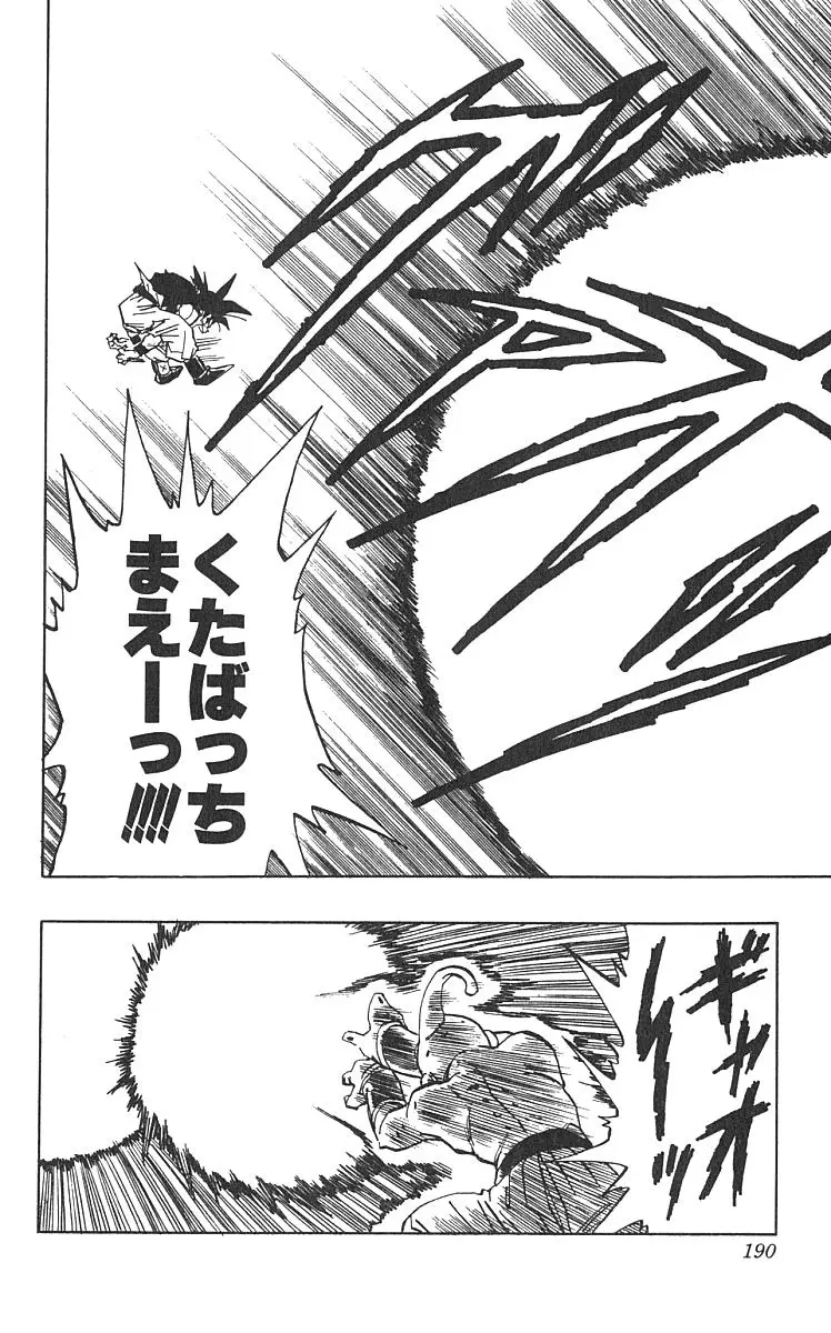 Chapitre 42 — Dragon Ball (Édition Japonaise) Vol. 42 — page 191