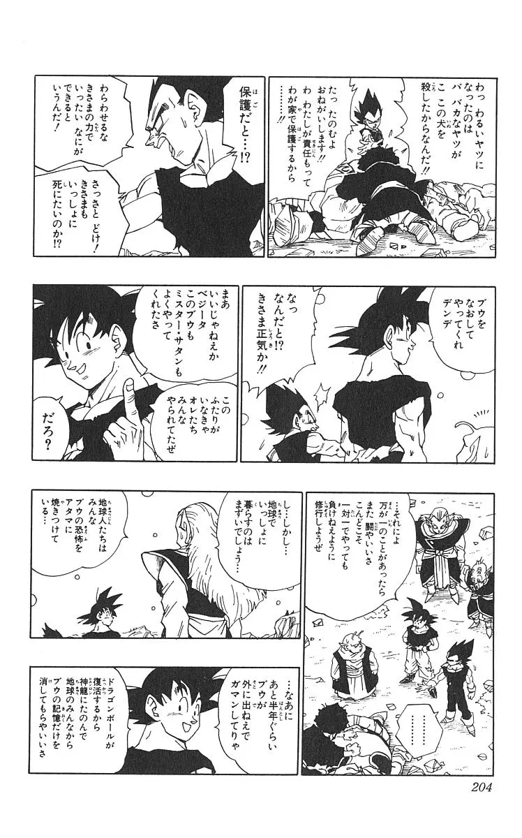 Chapitre 42 — Dragon Ball (Édition Japonaise) Vol. 42 — page 205