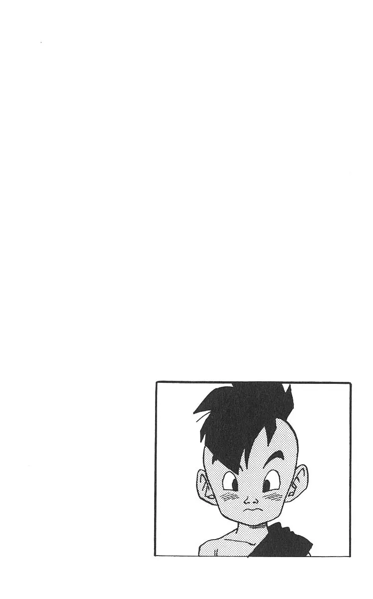 Chapitre 42 — Dragon Ball (Édition Japonaise) Vol. 42 — page 227