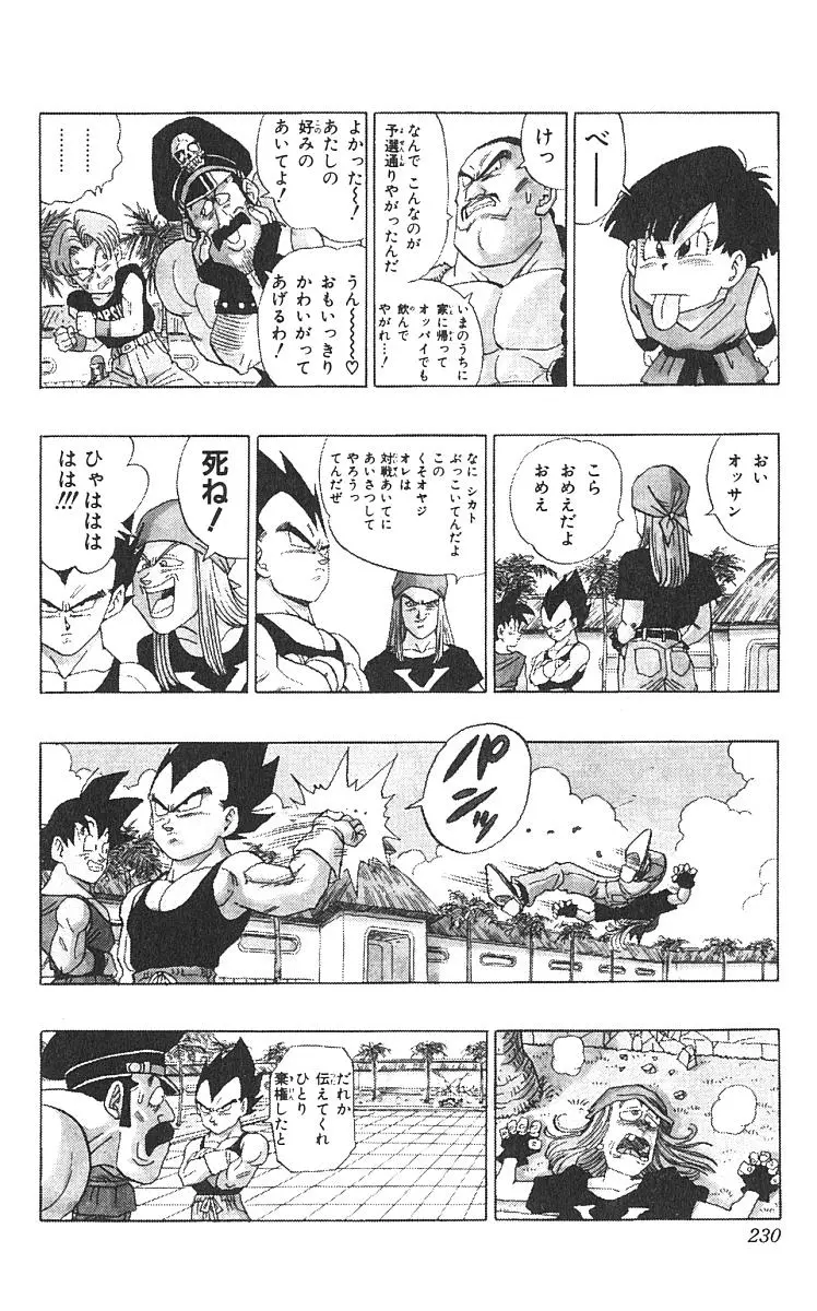 Chapitre 42 — Dragon Ball (Édition Japonaise) Vol. 42 — page 231