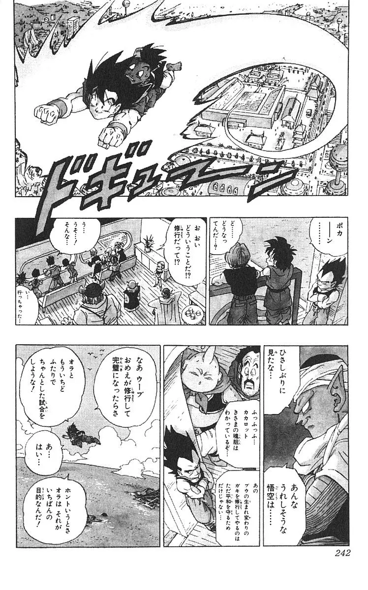 Chapitre 42 — Dragon Ball (Édition Japonaise) Vol. 42 — page 243