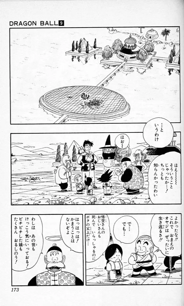 Chapitre 9 — Dragon Ball (Édition Japonaise) Vol. 9 — page 172