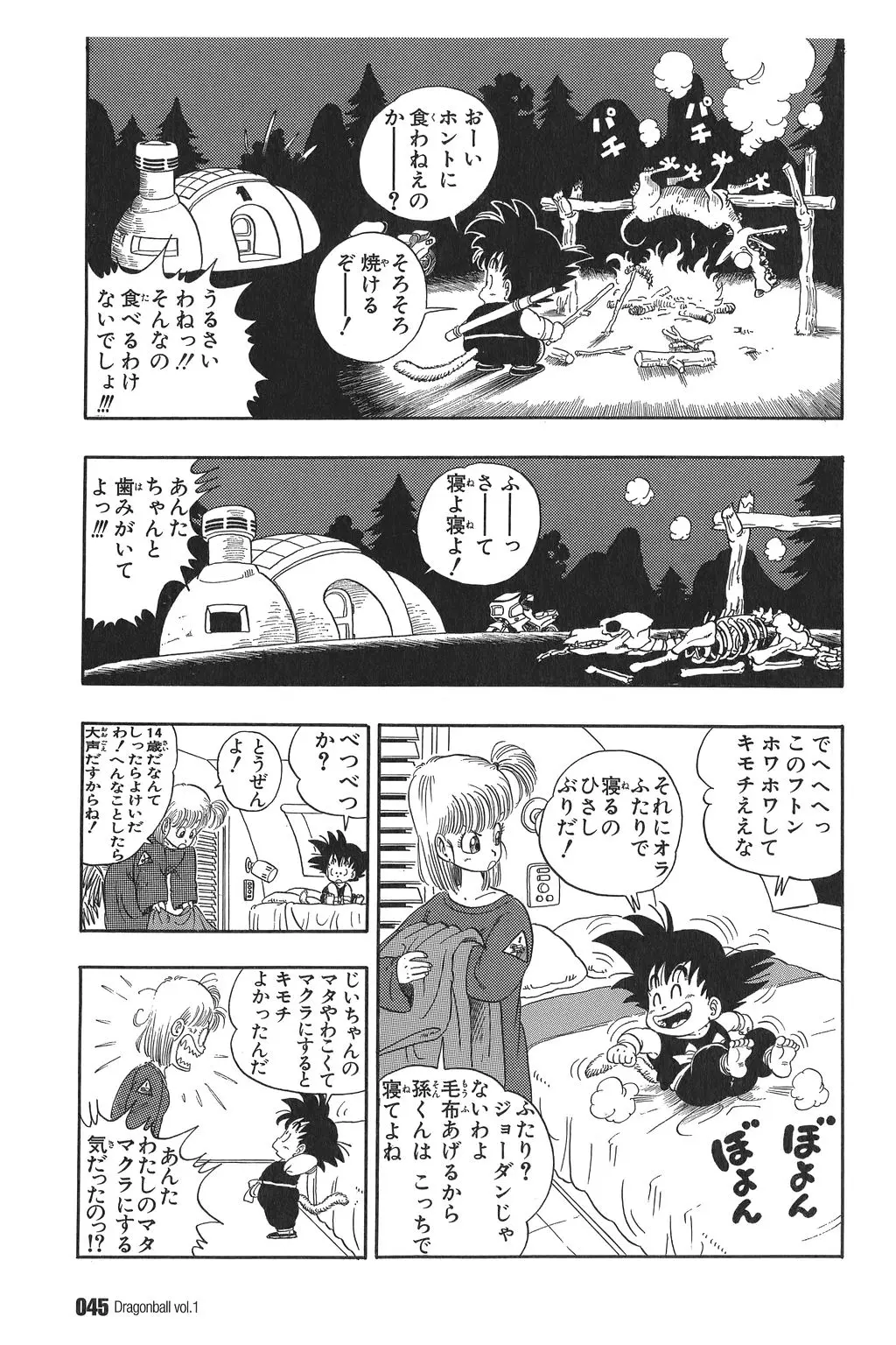 Chapitre 1 — Dragon Ball Kanzenban Vol. 1 — page 47