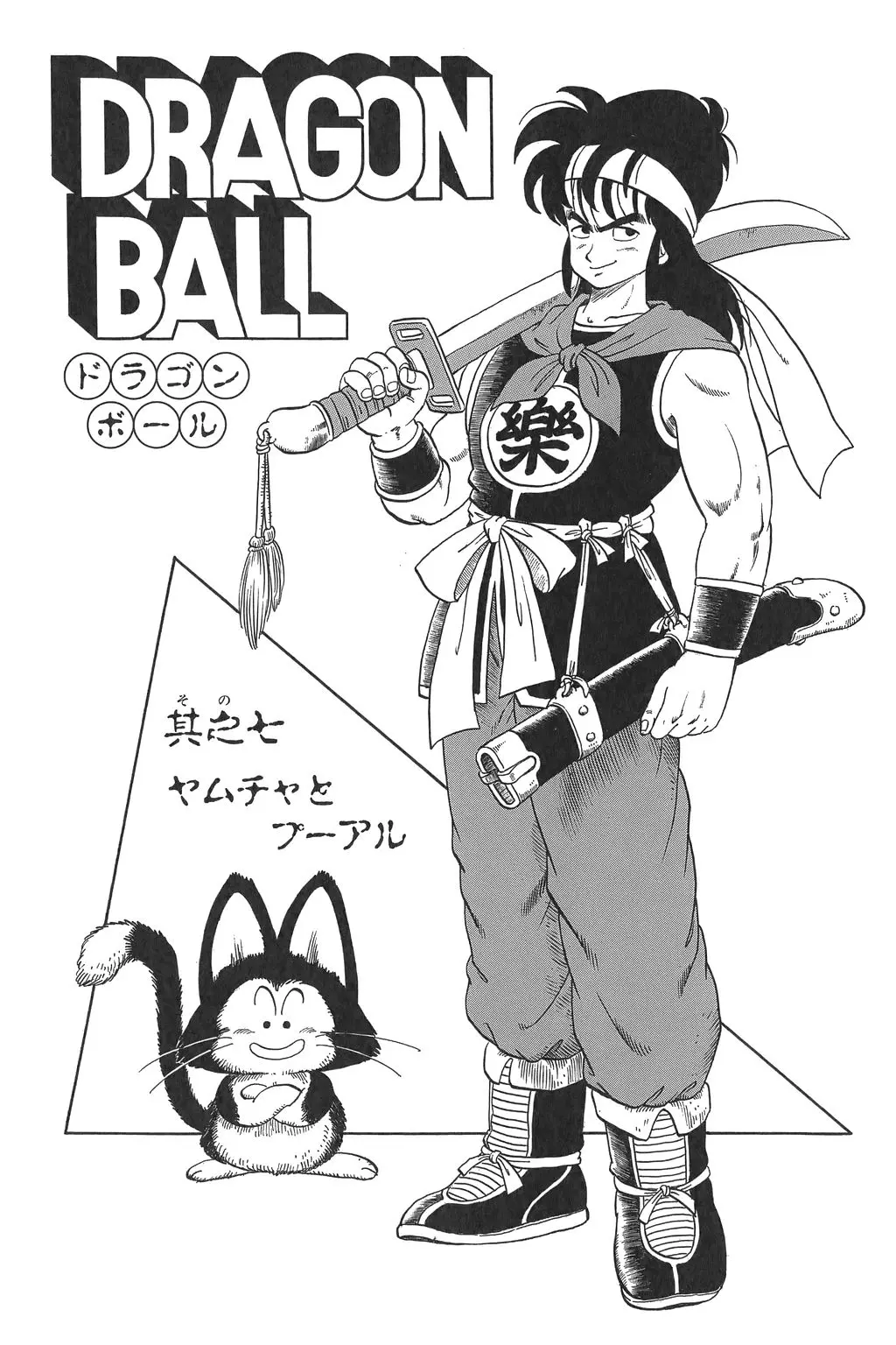 Chapitre 1 — Dragon Ball Kanzenban Vol. 1 — page 221