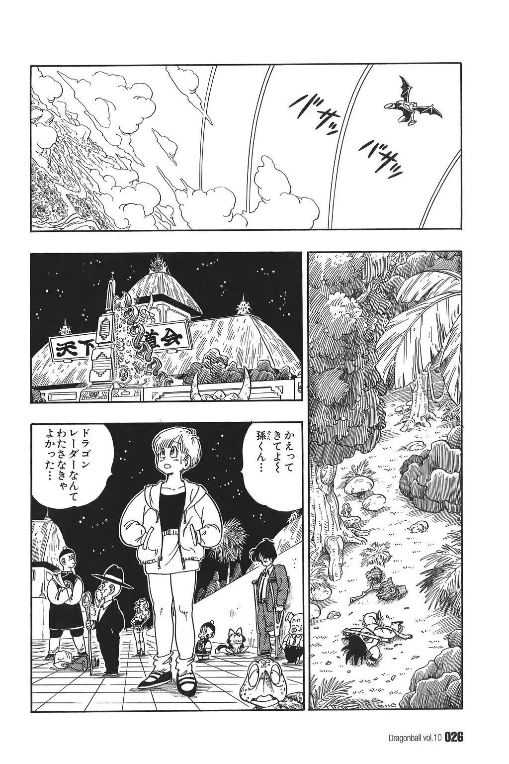 Chapitre 10 — Dragon Ball Kanzenban Vol. 10 — page 31