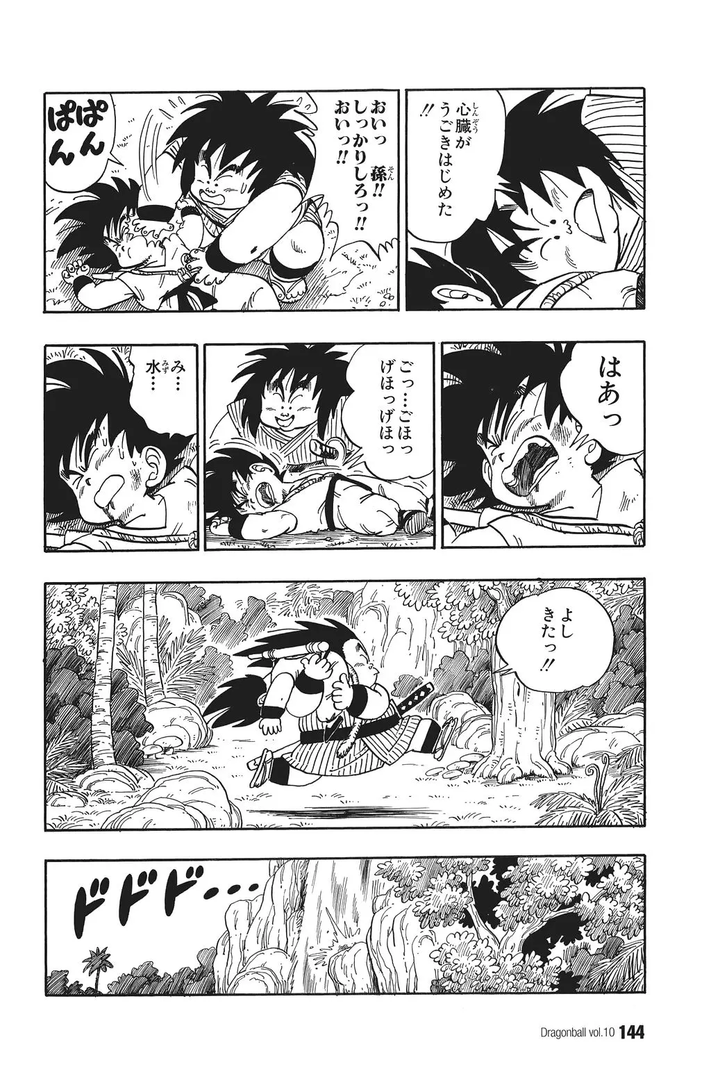 Chapitre 10 — Dragon Ball Kanzenban Vol. 10 — page 149