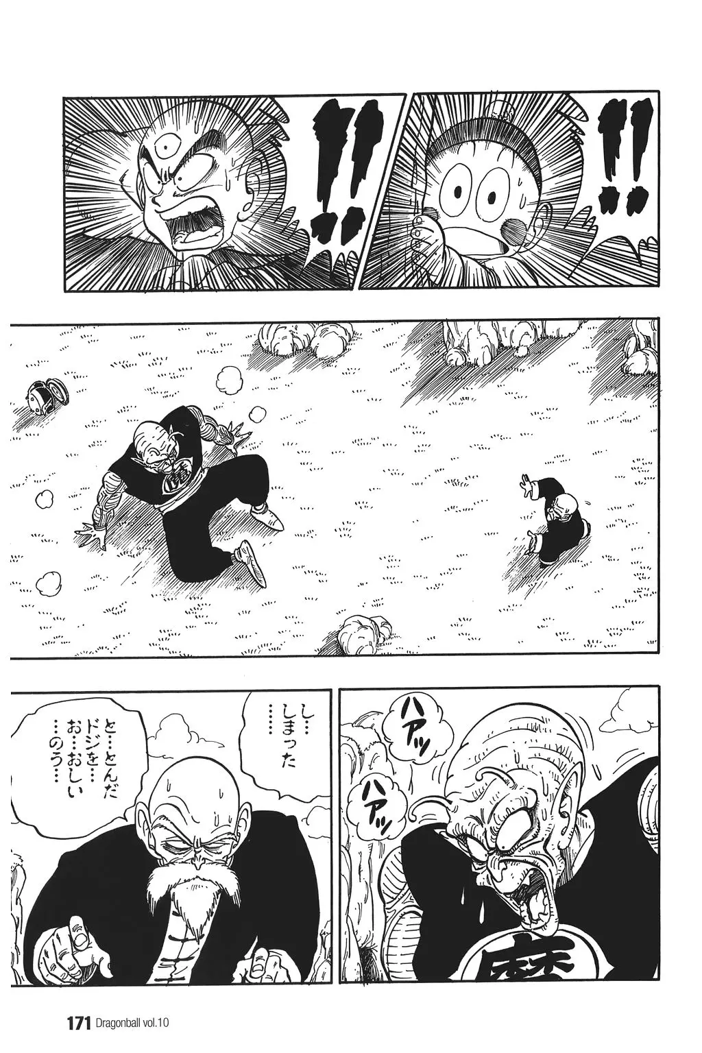 Chapitre 10 — Dragon Ball Kanzenban Vol. 10 — page 176