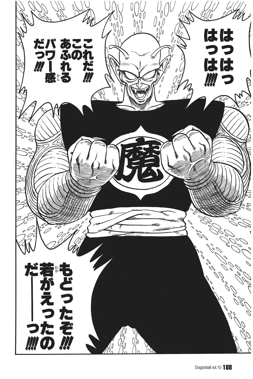 Chapitre 10 — Dragon Ball Kanzenban Vol. 10 — page 193