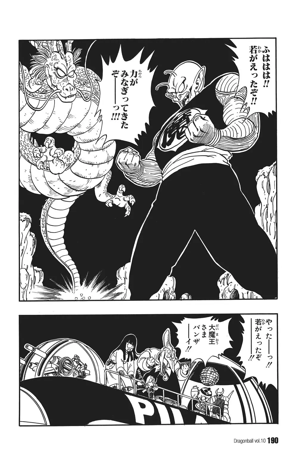 Chapitre 10 — Dragon Ball Kanzenban Vol. 10 — page 195