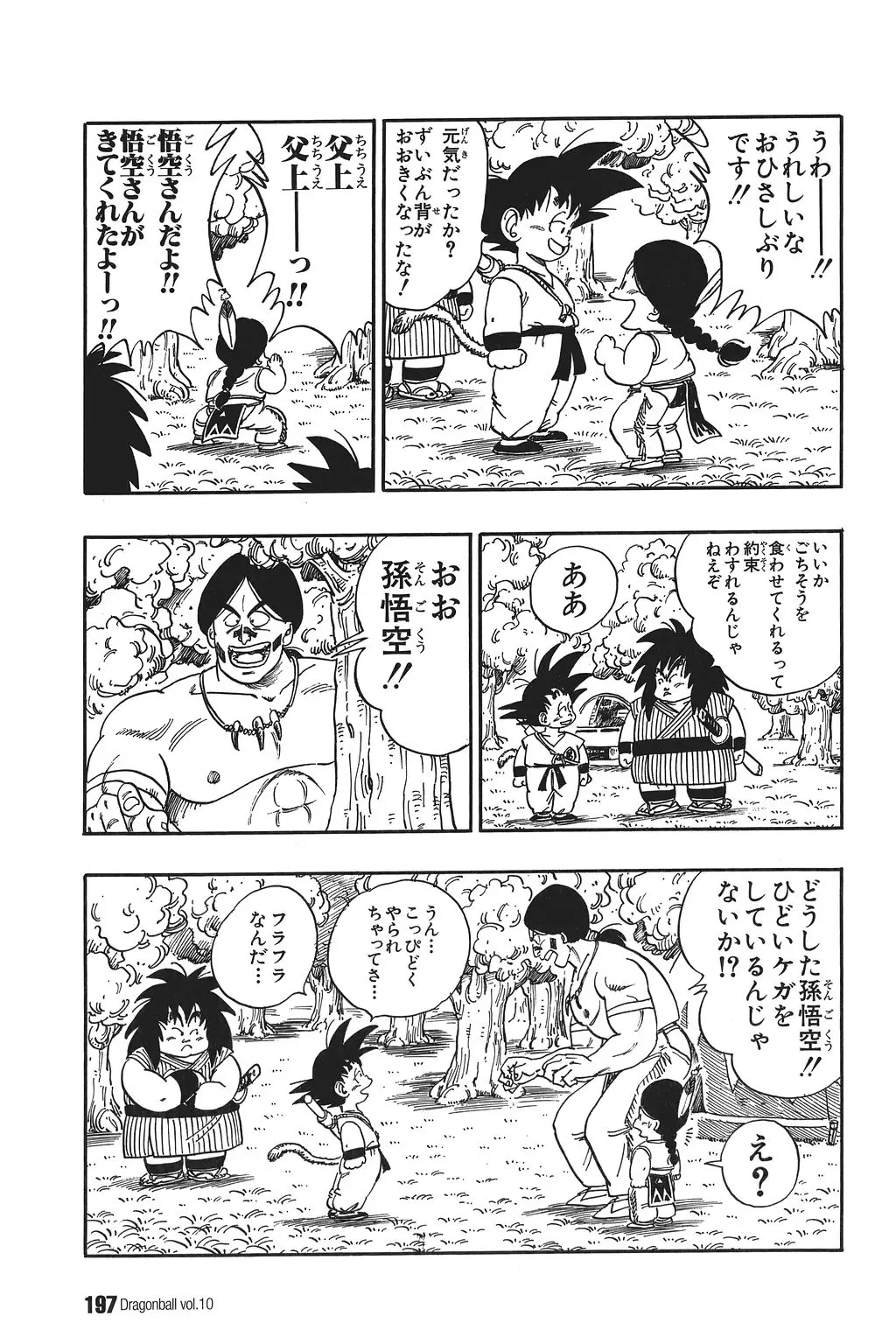 Chapitre 10 — Dragon Ball Kanzenban Vol. 10 — page 202