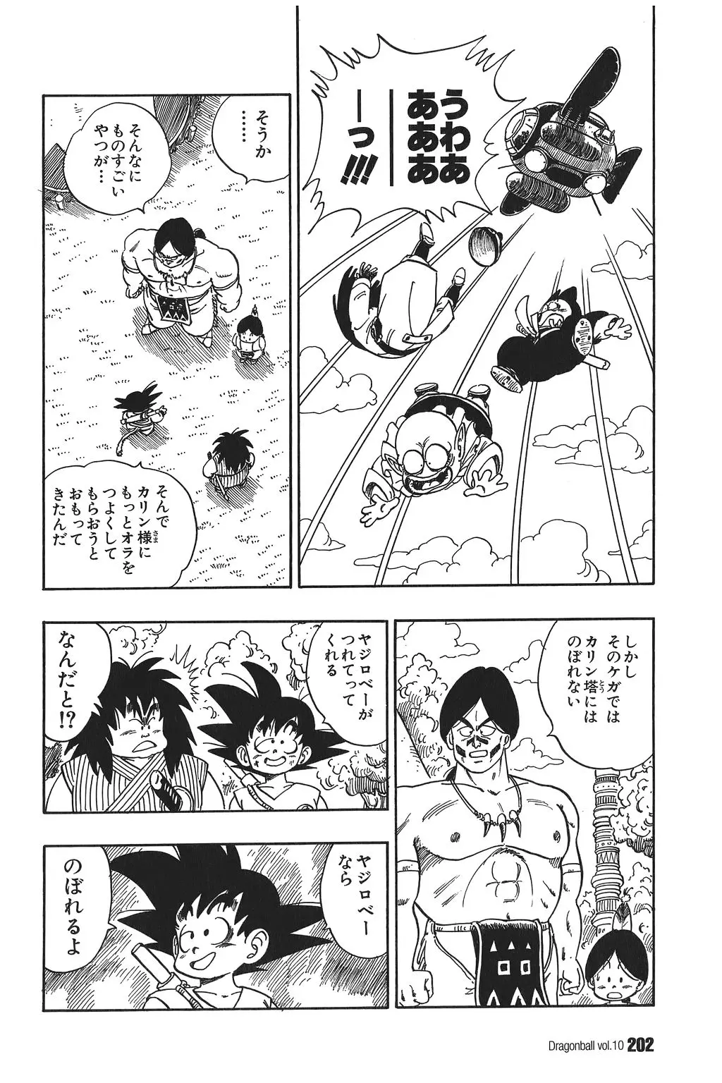 Chapitre 10 — Dragon Ball Kanzenban Vol. 10 — page 207