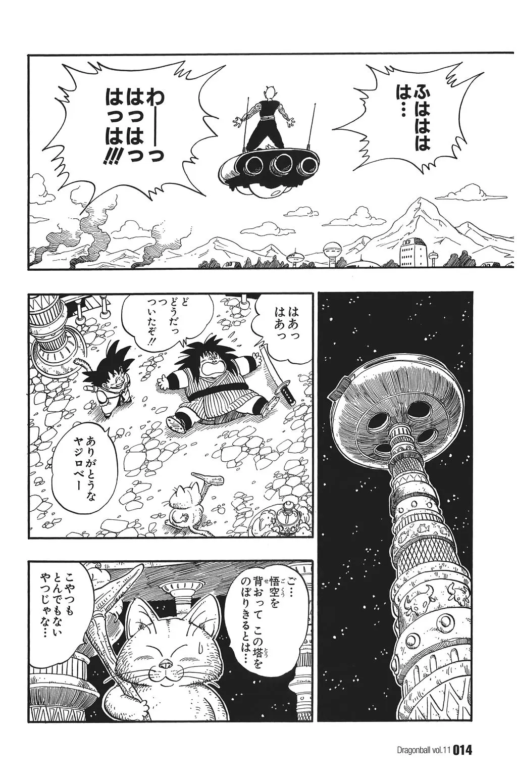 Chapitre 11 — Dragon Ball Kanzenban Vol. 11 — page 19