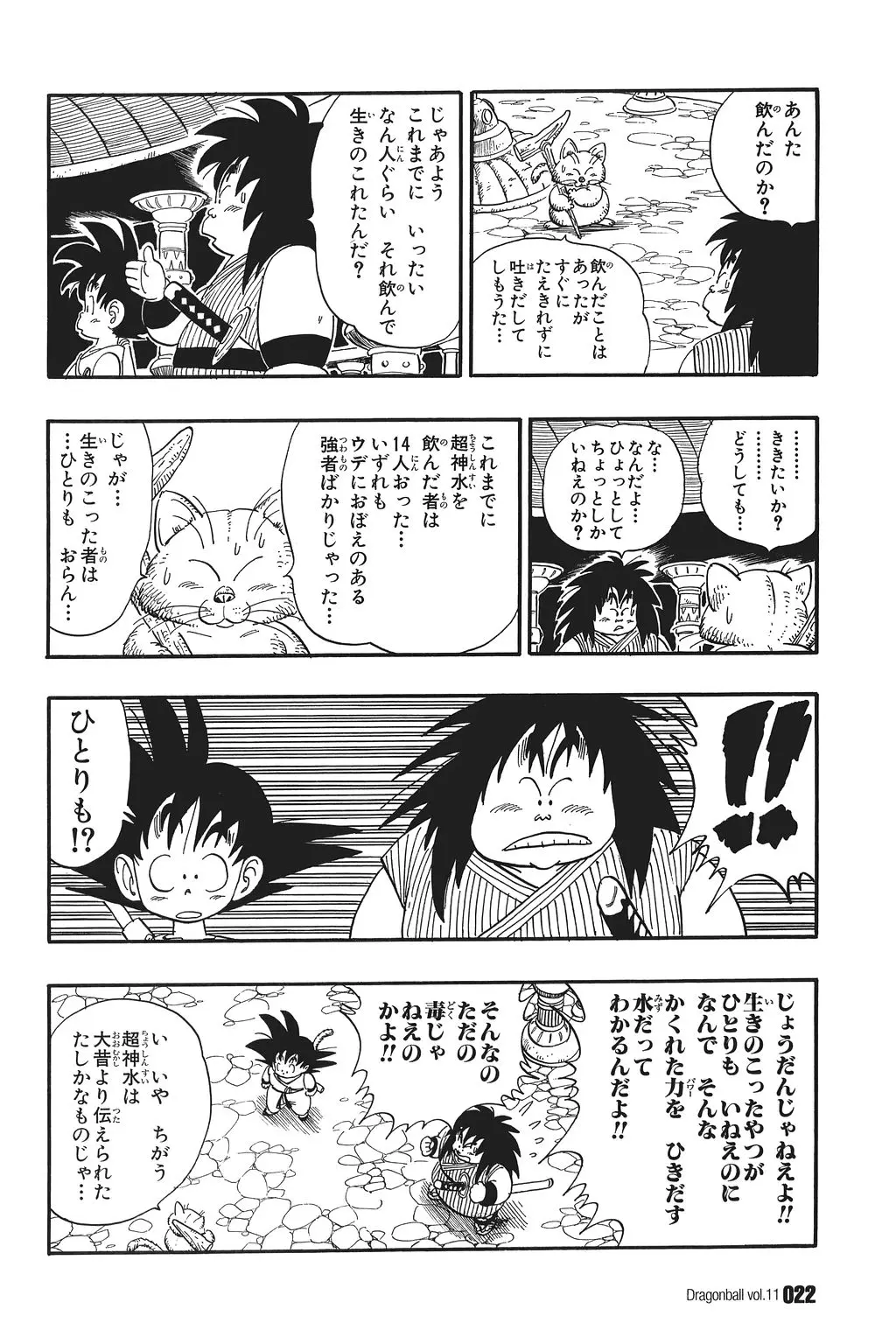 Chapitre 11 — Dragon Ball Kanzenban Vol. 11 — page 27
