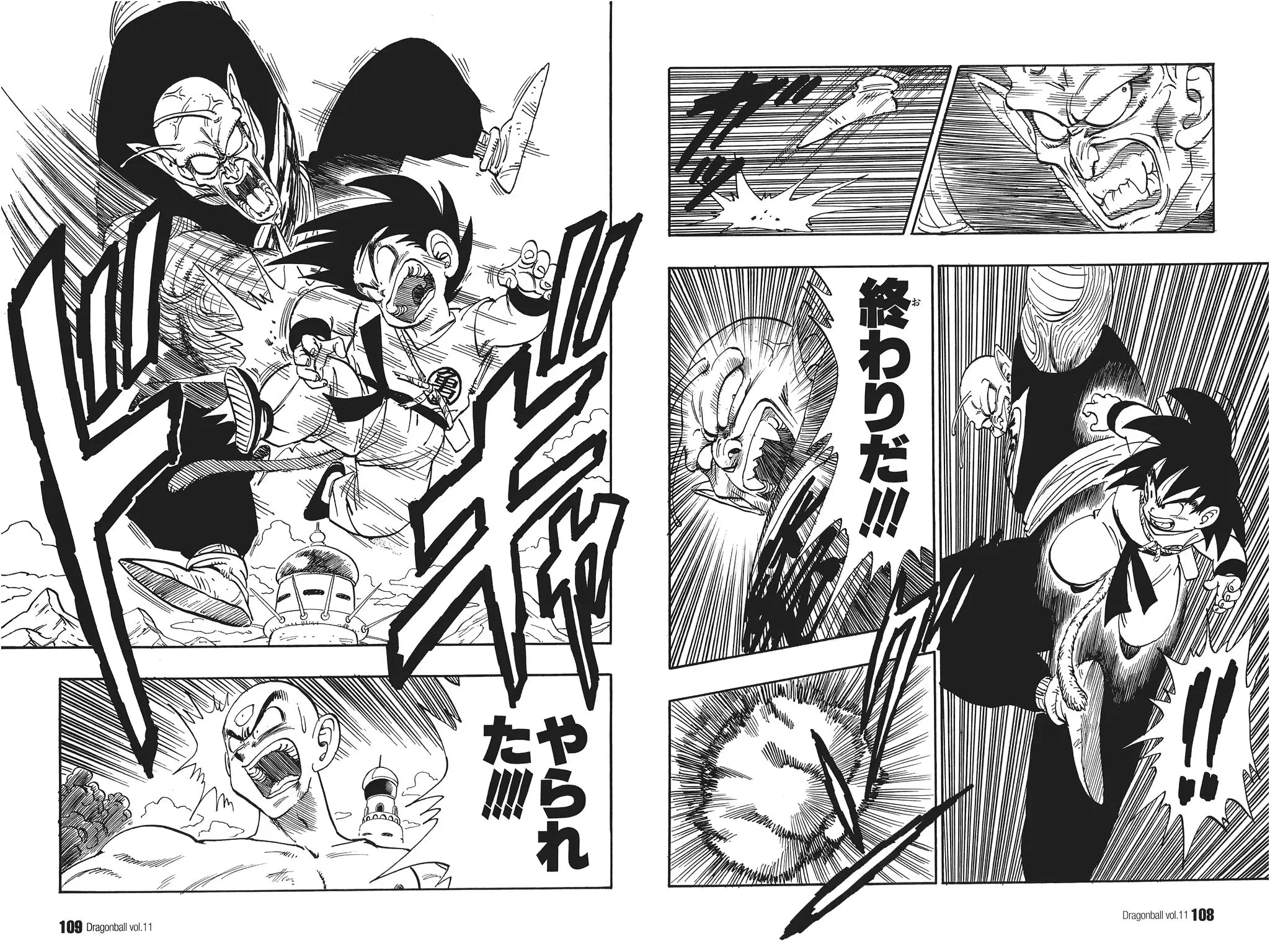Chapitre 11 — Dragon Ball Kanzenban Vol. 11 — page 113