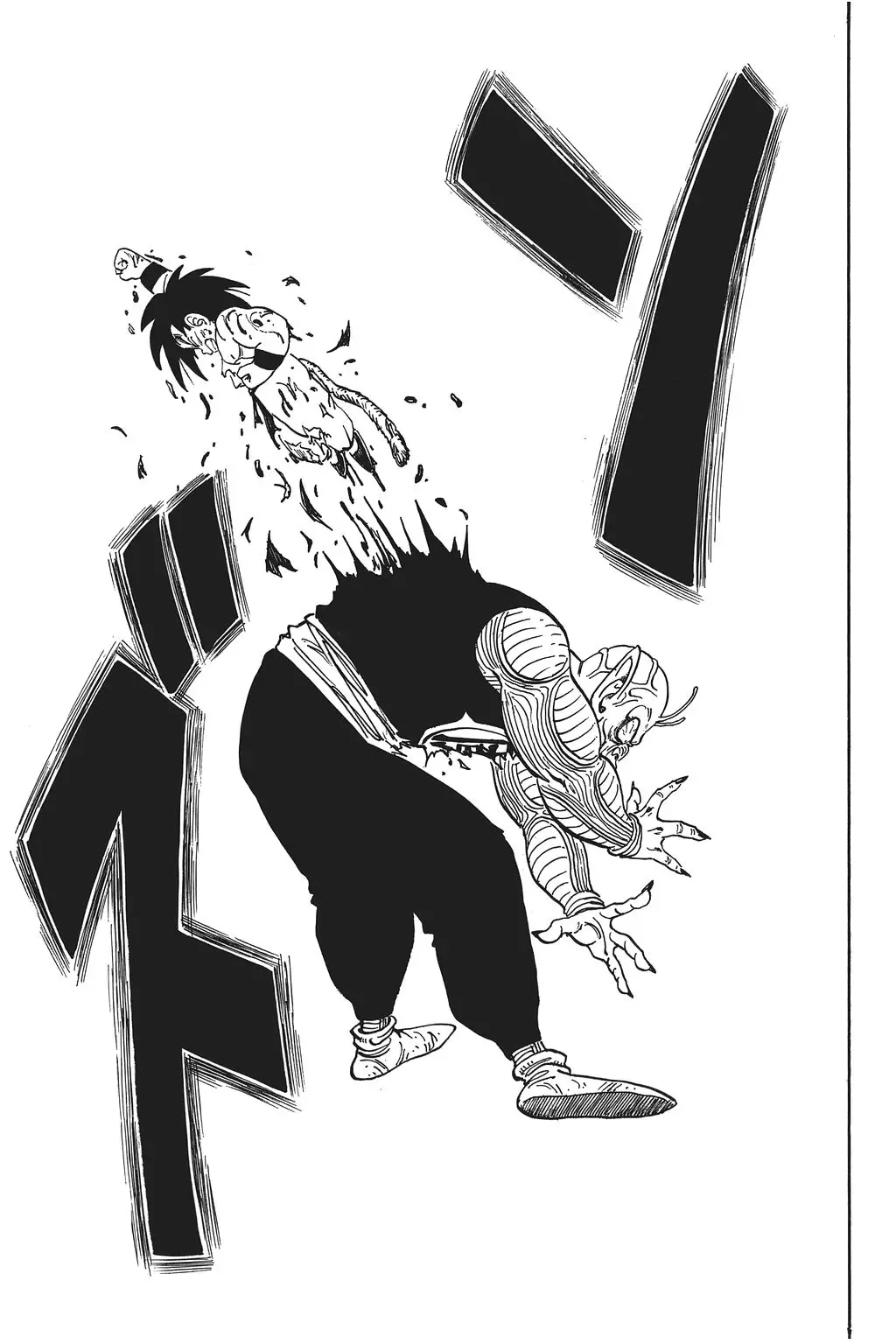 Chapitre 11 — Dragon Ball Kanzenban Vol. 11 — page 169