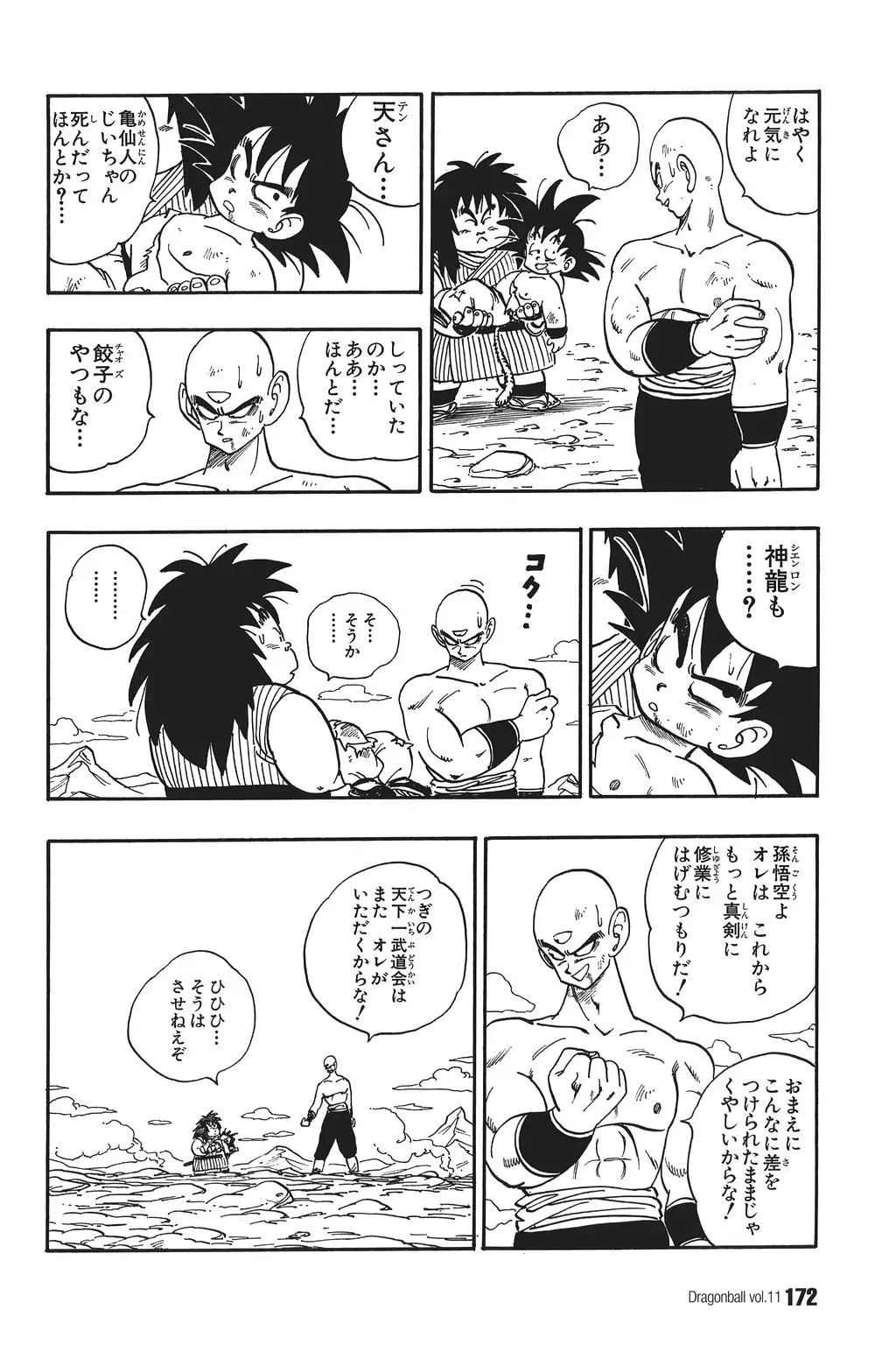 Chapitre 11 — Dragon Ball Kanzenban Vol. 11 — page 176
