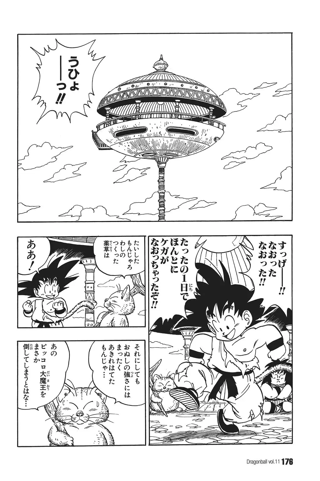 Chapitre 11 — Dragon Ball Kanzenban Vol. 11 — page 180