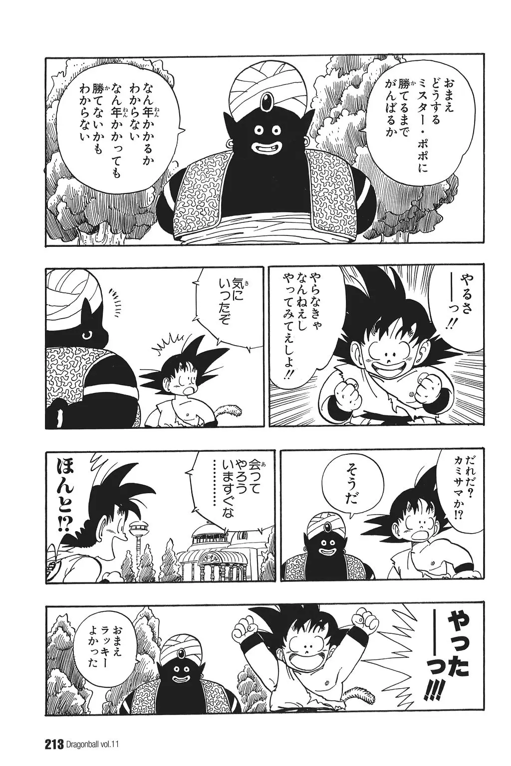 Chapitre 11 — Dragon Ball Kanzenban Vol. 11 — page 217