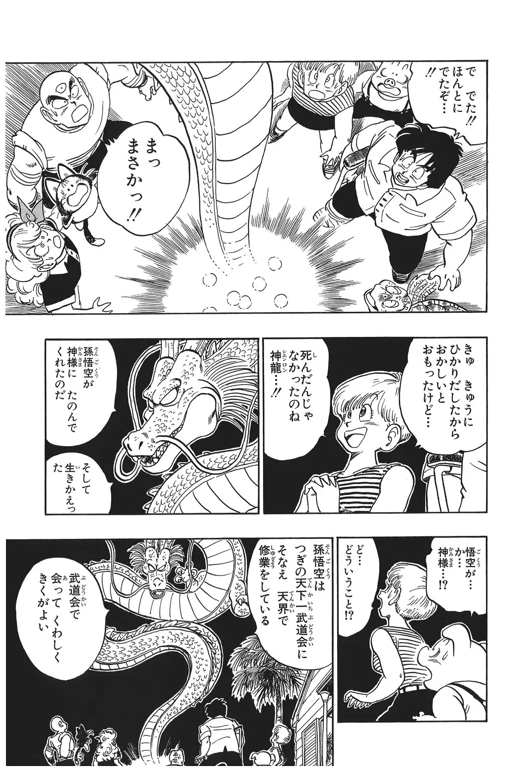 Chapitre 12 — Dragon Ball Kanzenban Vol. 12 — page 18