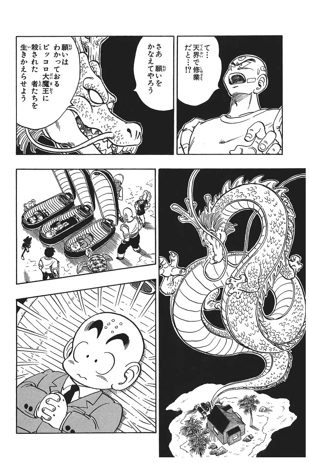 Chapitre 12 — Dragon Ball Kanzenban Vol. 12 — page 19