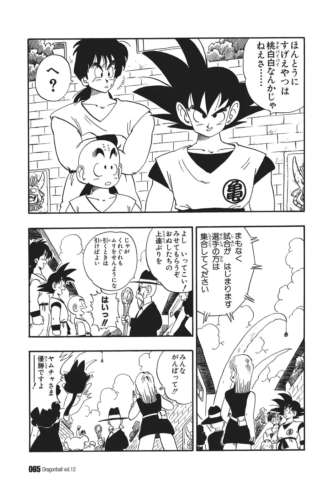 Chapitre 12 — Dragon Ball Kanzenban Vol. 12 — page 70