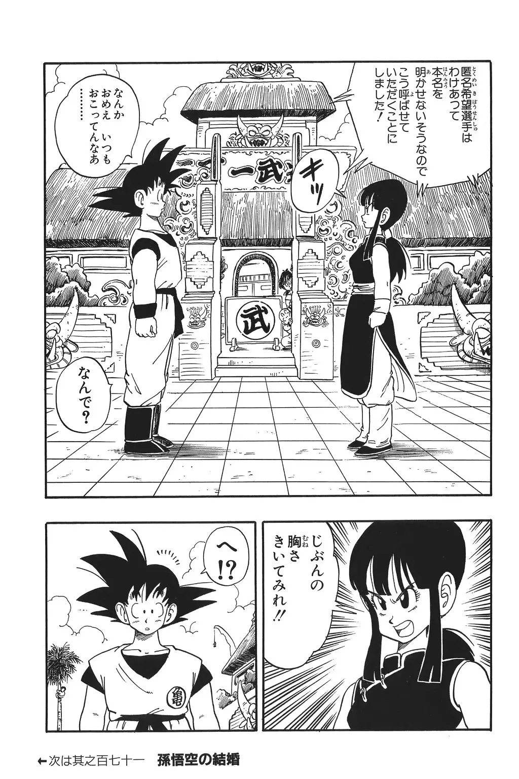 Chapitre 12 — Dragon Ball Kanzenban Vol. 12 — page 94