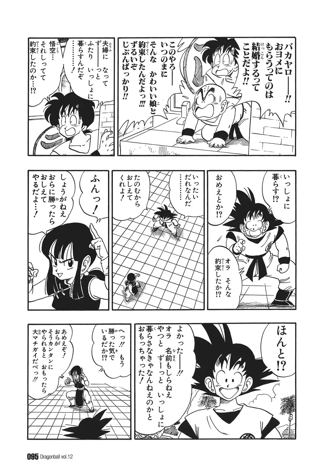 Chapitre 12 — Dragon Ball Kanzenban Vol. 12 — page 100