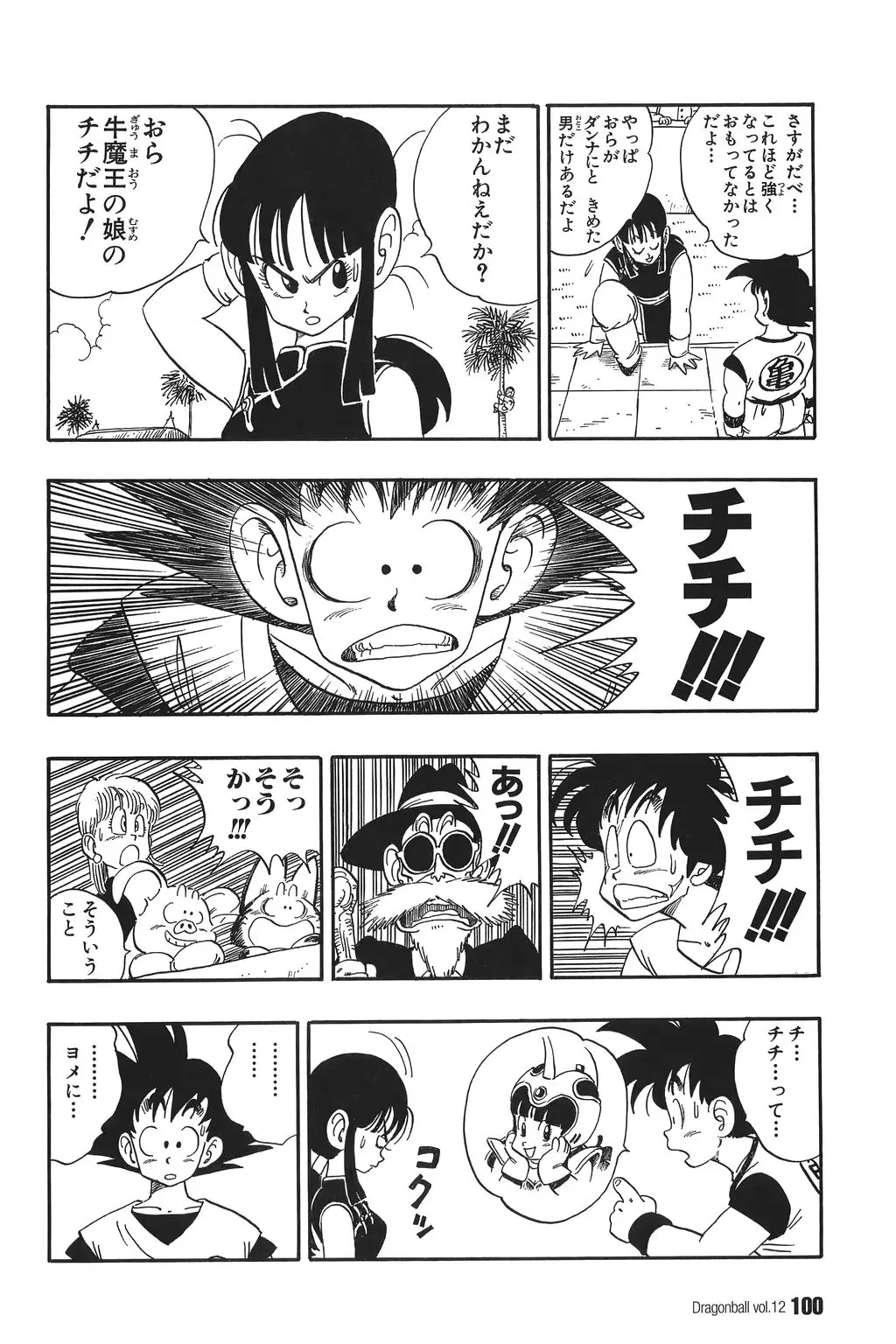 Chapitre 12 — Dragon Ball Kanzenban Vol. 12 — page 105