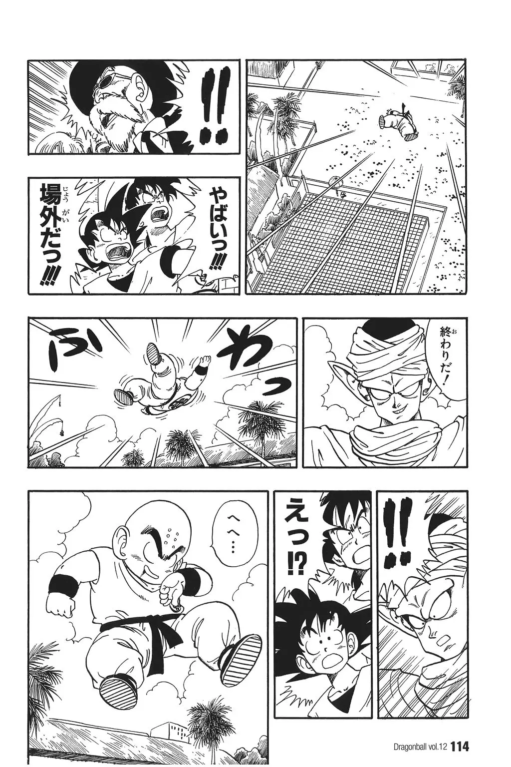 Chapitre 12 — Dragon Ball Kanzenban Vol. 12 — page 119