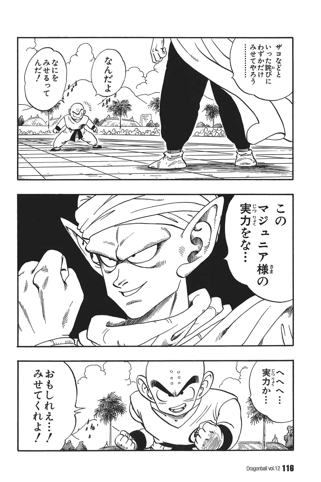Chapitre 12 — Dragon Ball Kanzenban Vol. 12 — page 121