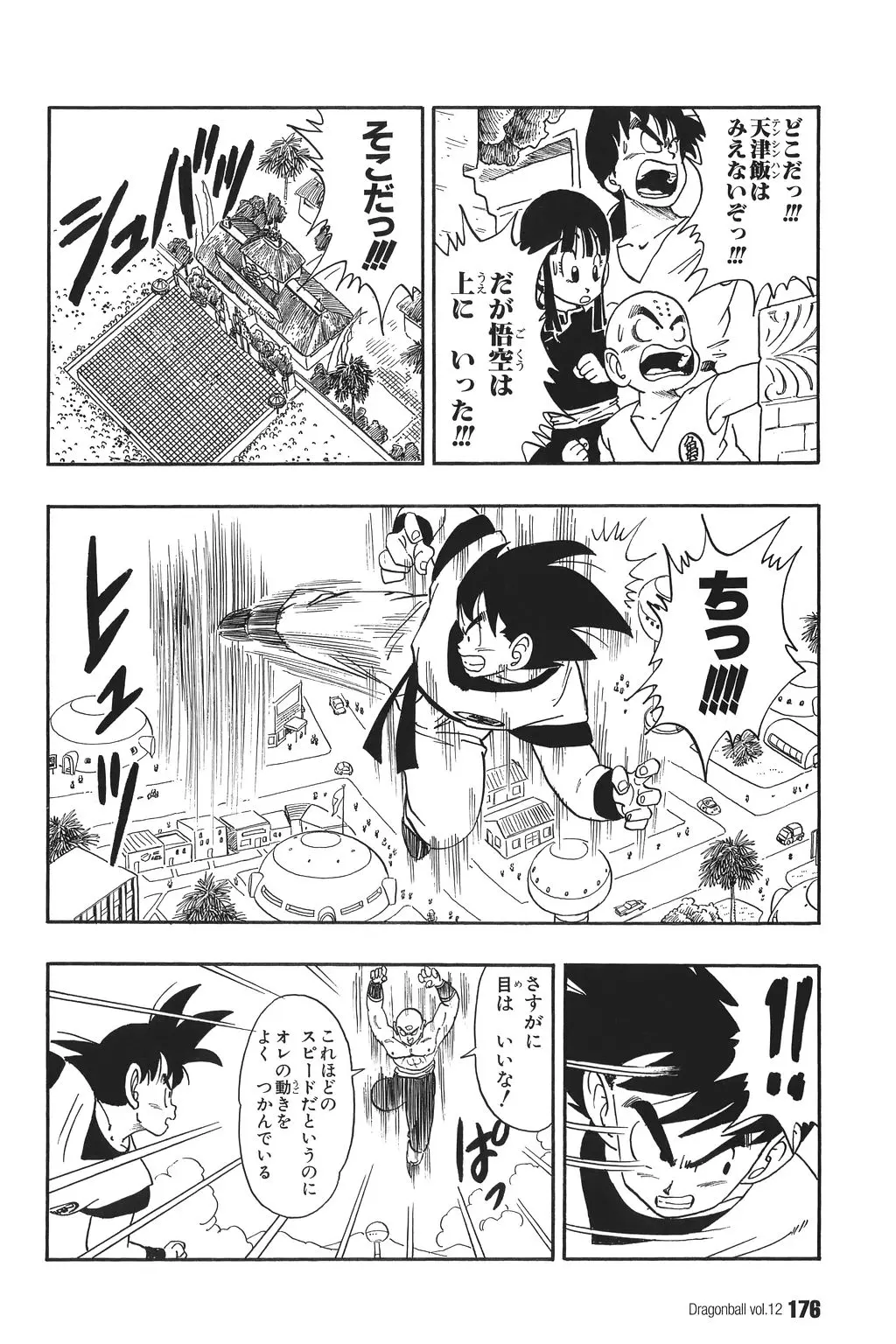 Chapitre 12 — Dragon Ball Kanzenban Vol. 12 — page 181