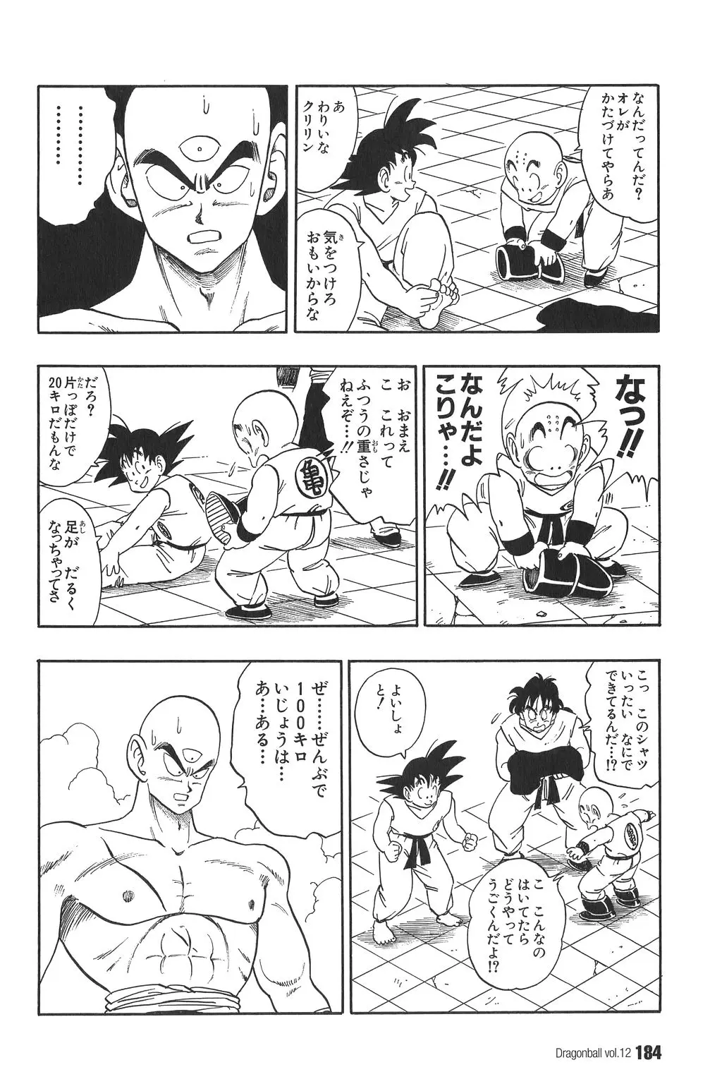 Chapitre 12 — Dragon Ball Kanzenban Vol. 12 — page 189