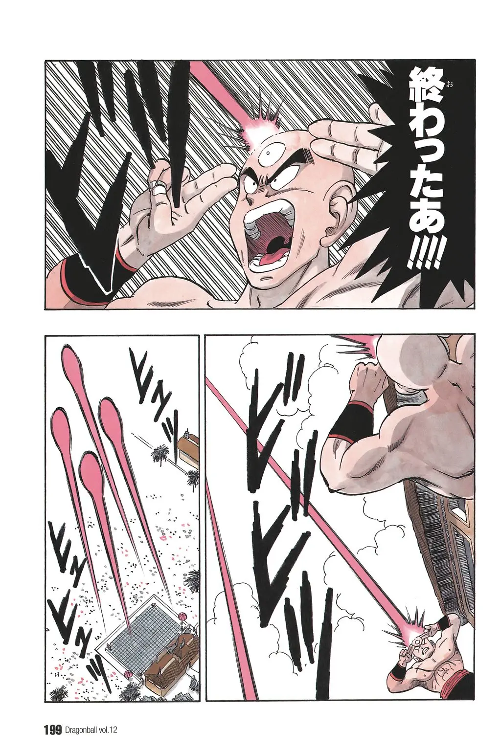 Chapitre 12 — Dragon Ball Kanzenban Vol. 12 — page 204