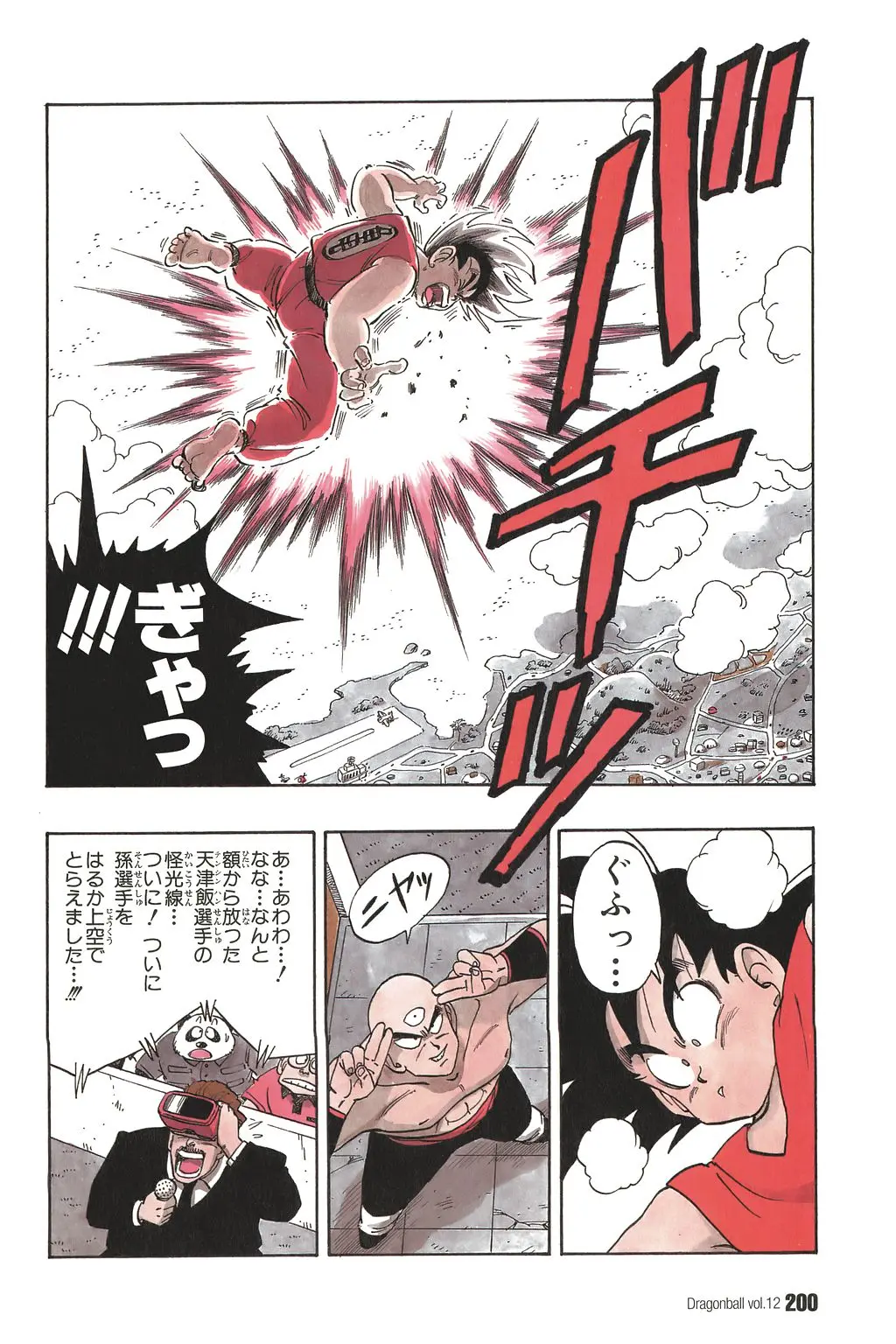 Chapitre 12 — Dragon Ball Kanzenban Vol. 12 — page 205