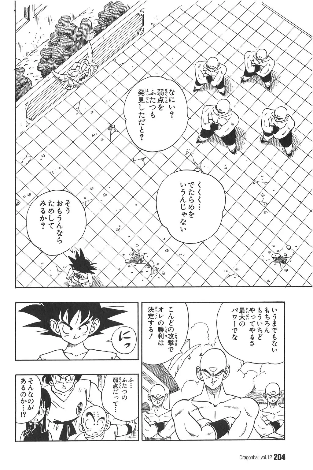 Chapitre 12 — Dragon Ball Kanzenban Vol. 12 — page 209